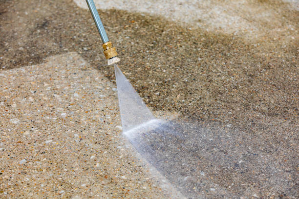 Best Animal Enclosure Cleaning  in Blauvelt, NY
